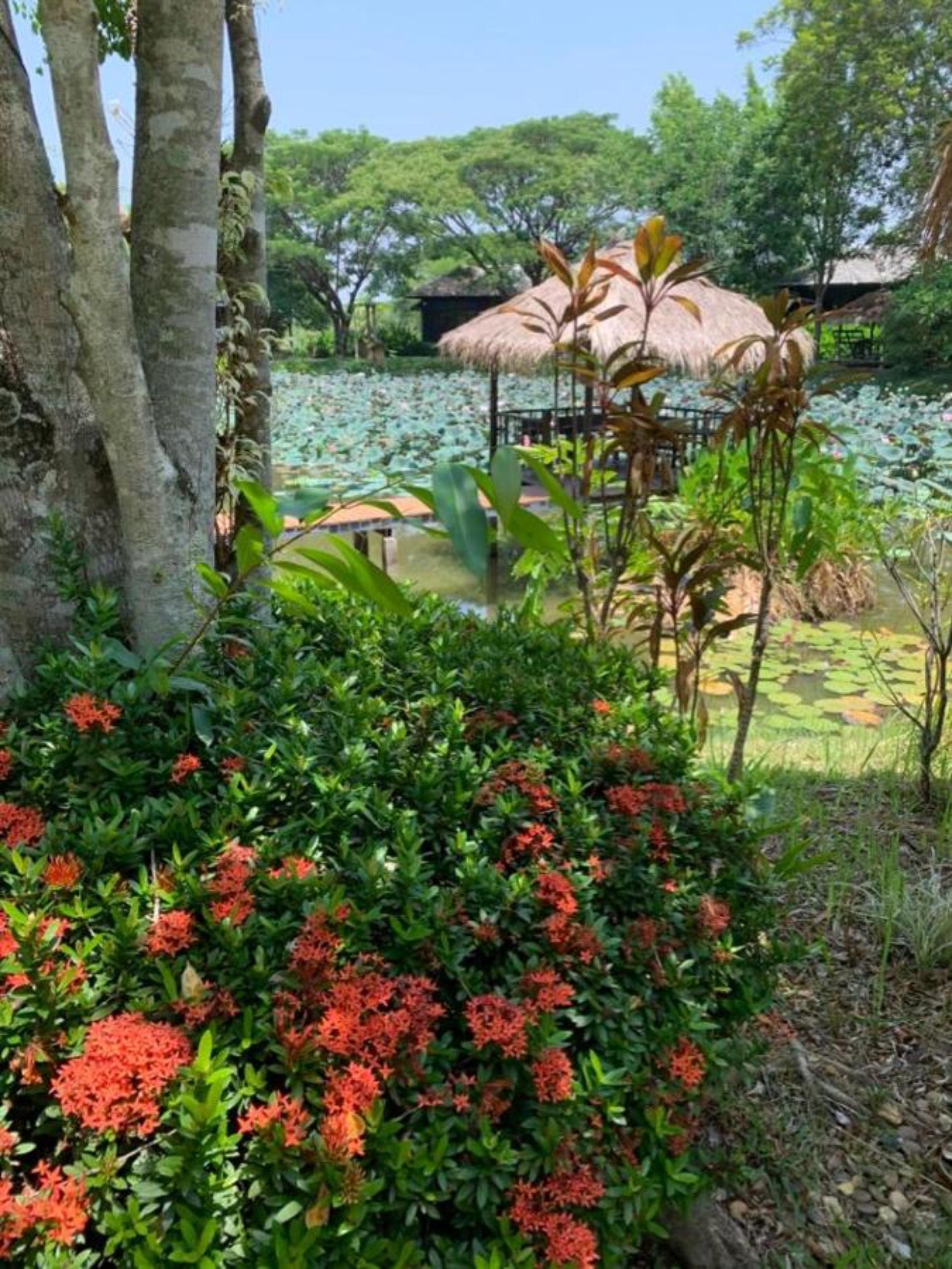 Baan Chai Thung Resort Doi Saket Esterno foto